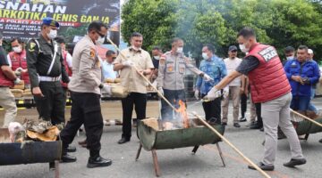 Pengabdian yang Tulus Selalu Meninggalkan Jejak, Kapolres Aceh Tenggara Pimpin Pemusnahan 161,9 Kilogram Ganja